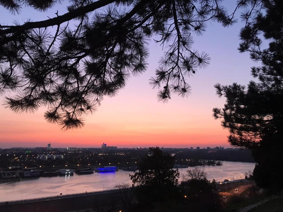 Lirra Luxe - Central Belgrade Apartments エクステリア 写真